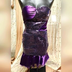 Lucy & Co purple sequin strapless dress.  Sz Sm.  New